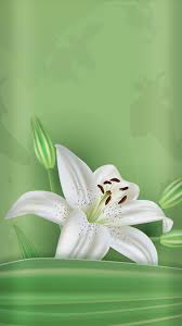 Wallpaper Samsung Wallpaper Smartphone Wallpaper Floral Wallpaper