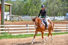 Thoroughbred Logic: Bungee Elbows for the Win