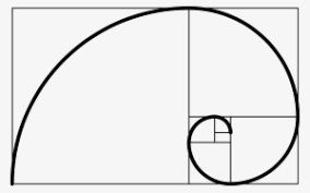 Golden Ratio Png Download Transparent Golden Ratio Png Images For Free Nicepng There is no psd format for golden ratio png, golden ratio transparent images in our system. golden ratio png download transparent