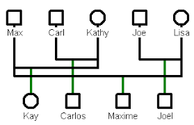 The first thing to consider is the structure of a family genogram. Rules To Build Genograms Genopro