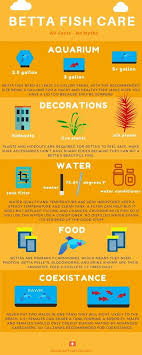 Caring For A Betta Fish The Right Way 101 Infographic Animal Bliss Betta Fish Care Betta Fish Betta Fish Tank