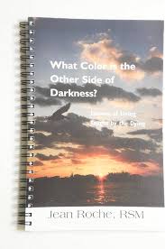 What Color is the Other Side of Darkness? Lessons of Living Taught By the  Dead: Jean Roche: 9781933994055: Amazon.com: Books