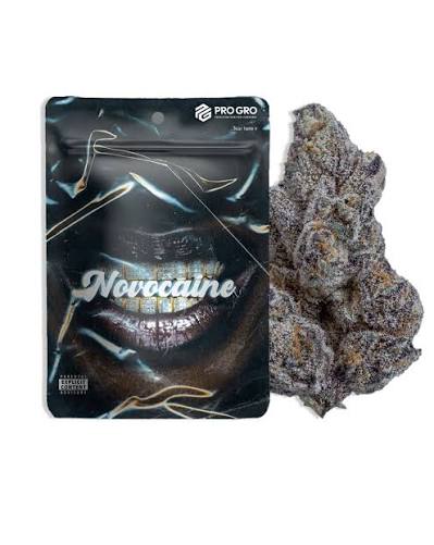 Novocaine 3.5g | Lume Cannabis Co.