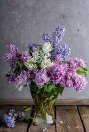 Getsearchinfo.com has been visited by 100k+ users in the past month Free Stock Photo Of Close Up Of Lilac Flowers In A Glass Vase Download Free Images And Free Illustrations