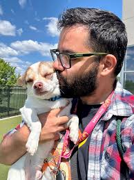 Update: ADOPTED You have ANOTHER CHANCE at Walking Taco 🌮 He's a  2-year-old boy who weighs in at 10 lbs! He's very sweet and loving, enjoys  cuddling in bed at night, and