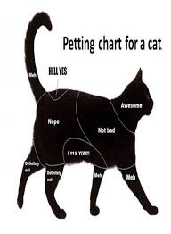 cat petting diagram animal petting charts showing you the