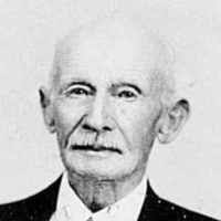 Alfred Rulseh (1859–1940)