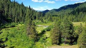 Best Trails Near Garden Valley Idaho Alltrails Garden Valley Idaho Forest Trail