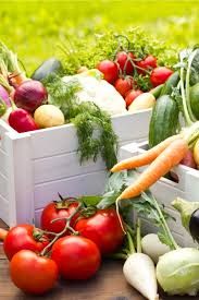 We did not find results for: The 2021 Vegetable Garden Plan How To Grow Your Own Groceries