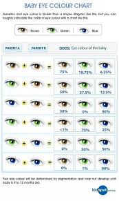 58 prototypic eye color chart from parents