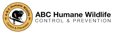 Best pest & wildlife control company in schenectady, ny. Bed Bug Infestation I Chicago Il I Landmark Pest Management