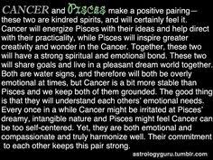 As a result, this water sign tends to build up that's because when cancer loves, they love all the way, which is the thing that pisces desires most in a relationship: 38 Soul Mates Ideas Cancer And Pisces Zodiac Signs Cancer Pisces