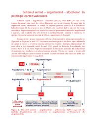 Sintetaza oxidului nitric endotelial, enzima de conversie a angiotensinei și polimorfisme genice angiotensinogen în tulburări hipertensive ale sarcinii. Sistemul ReninÄ