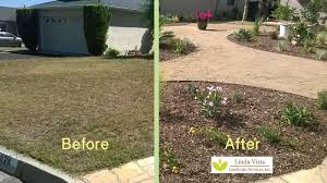 Choose the right plants for the style of your. Grass Yard To Drought Tolerant Landscape Linda Vista Landscape Services Inc