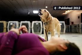 We did not find results for: Wonder Dog A Golden Retriever Reaches A Raging Boy The New York Times