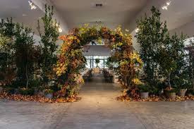 Check spelling or type a new query. La Novia De Otono Las Bodas De Tatin