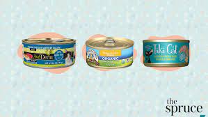 Best cat food brands wet. The 7 Best Canned Cat Foods Of 2021