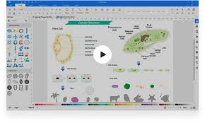 Science diagrams, available in both printable and projectable formats, serve as instructional tools that help students read and interpret visual devices, an important skill in stem fields. Sciencedraw Create Science Diagram Easily