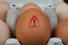 How Salmonella from eggs can cause deadly infections amid UK outbreak