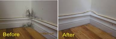 Maybe you would like to learn more about one of these? Cold Walls And Mold Growth The Mold Guy