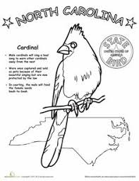 Birds Of North Carolina Book North Carolina State Bird Worksheet Education Com North Carolina History North Carolina Facts State Of Nc