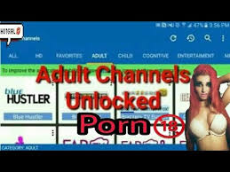 To install pron pleyar on your device you should do some easy things on your phone or any other android device. Best Apk Porn Adults Channels Unlocked 2017 On Android Technical Malik Youtube