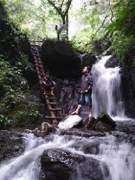 Peel, skin, rind, resin, other, feather, leather, neapkin, peelings. English To Indonesian Translator Specializing In Education