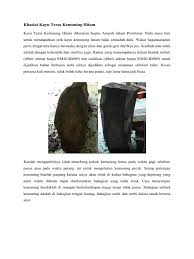 Pokok kemuning mempunyai pelbagai khasiat samada digunakan dalam perubatan tradisional ataupun moden. Kayu Kemuning Hitam