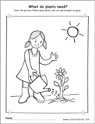 What Do Plants Need To Survive Worksheets For Preschools Plant Needs Kindergarden Activities Plants Worksheets