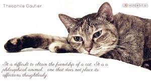Following is a list of the topmost famous cute friendship quotes, you can share them with your friends to let them know how strong is y. Theophile Gautier Quotes About Cats A Z Quotes