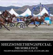 Racing club de avellaneda, argentina. Nelson Harness Racing Club Sports Event Nelson New Zealand Facebook 2 220 Photos