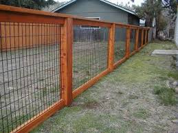 We fenced in our heavily shrubbed backyard 5 or 6 summers ago, to contain our three energetic husky mixes and their occasional visiting friends. Inexpensive Fence Ideas Backyard Fences Fence Design Cheap Fence