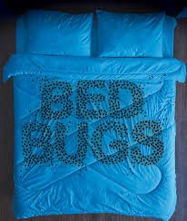 A licensed pest control operator must only apply pesticides that are currently registered and permitted for use by the australian pesticides and veterinary medicines. Bed Bugs Weapons To Slay These Vampire Pests Pest Management Professional