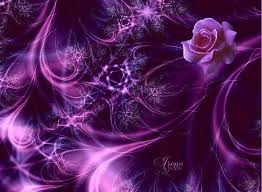 Black And Purple Roses Purple And Black Backgrounds Purple Rose Purple Roses Wallpaper Purple Backgrounds Purple Wallpaper