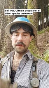 Monocrop tree farms?