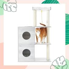 Selar, k'ehleyr, the female q and tarah. Cat Tree Buying Guide How To Find The Best Cat Tree For Your Pet Bechewy