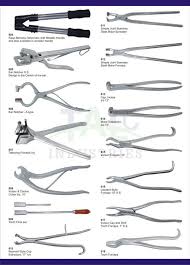 Stainless Steel Veterinary Instruments Dental Assistant Study Dental Assistant Study Guide Dental Assistant