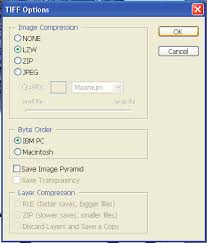 Maybe you would like to learn more about one of these? Http Learnmem Cshlp Org Site Misc Tsg Jpeg Instructions Pdf