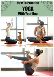 3 Simple Yoga Poses You Can Do To Further Bond With Your Dog Doga Easy Yoga Poses Easy Yoga Dog Yoga