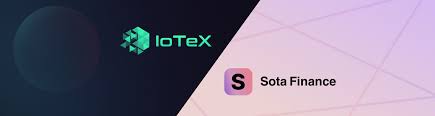 Introducing Iotex S First Nft Marketplace Sota Finance