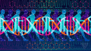 Dna is the molecule that holds the instructions for growth and development in talking concerning dna structure worksheet answer key, below we will see some variation of photos to add more info. I Paid 300 For Dna Based Fitness Advice And All I Got Was Junk Science The Verge