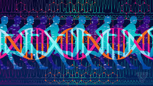 A replica of the electrophoretic pattern of enzymes dna. I Paid 300 For Dna Based Fitness Advice And All I Got Was Junk Science The Verge