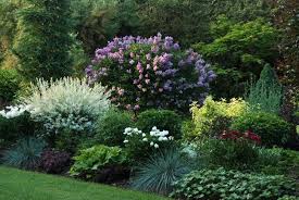 Shrubs for landscaping garden shrubs landscaping with rocks lawn and garden landscaping ideas bushes and shrubs inexpensive. 4 Sensational Types Of Urban Gardening Ideas Beautiful Gardens Garden Design Perennial Garden