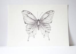 Black And White Spotted Butterfly Meaning Tienda Estara Cerrada Desde El 31 De Agosto 11 De Septiembre Metamorfosis De Los Lepidopteros A4 Tamano Butterfly Drawing Blue Butterfly Tattoo Ink Drawing