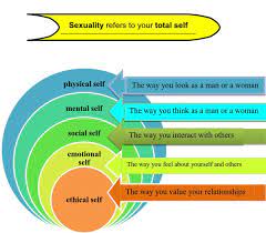 The daily dash is a quick look at what is happening today in the freight ecosystem. Health Grade 8 Quarter 1 Hs Portfolio Review