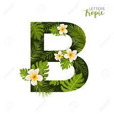 Find images of alphabet letters. Exotic Tropical Alphabet Letter B Floral Font Letter With Palm Royalty Free Cliparts Vectors And Stock Illustration Image 99945239