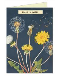 Use newspaper or old magazines to cover the area. Vintage Greeting Card Make A Wish Dandelion Animaux Speciaux