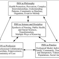 Pdf Nursing Science And Public Health