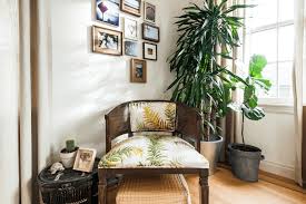 8 best indoor plants how to take care of them. 7 Low Maintenance Houseplants That Are Sure To Look Great Even In A