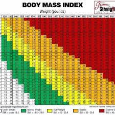 body mass index chart for youth cdc body mass index chart